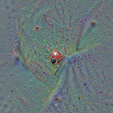 n02165105